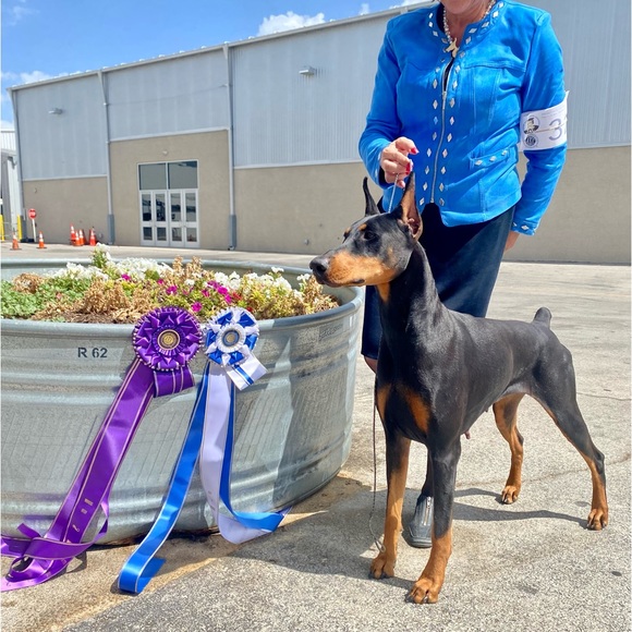 ❤️Nova❤️My Heart❤️ - Picture 2 of 16